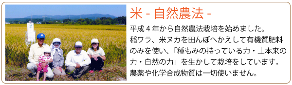 阿部農園　自然農法米紹介
