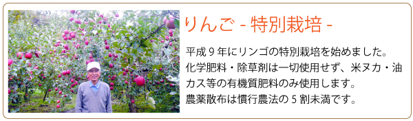 阿部農園　リンゴ紹介