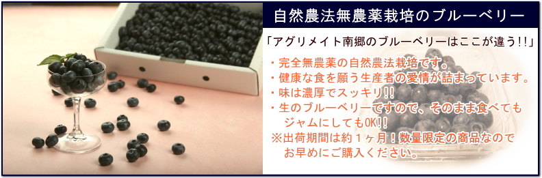 ブルーベリーについて