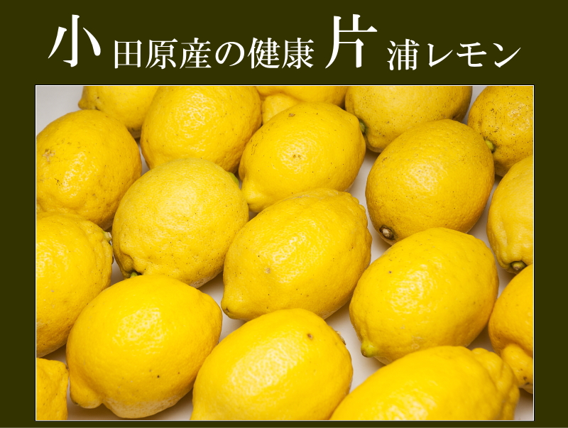 会田農園