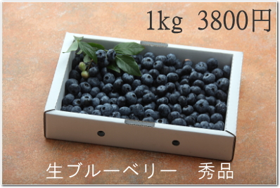 秀品　ブルーベリー購入へ
