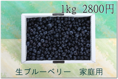 家庭用　ブルーベリー購入へ