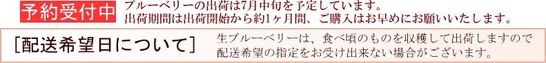 ブルーベリー出荷について