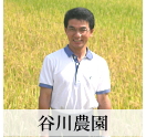 無農薬 自然農法のお米