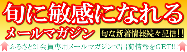 最新情報