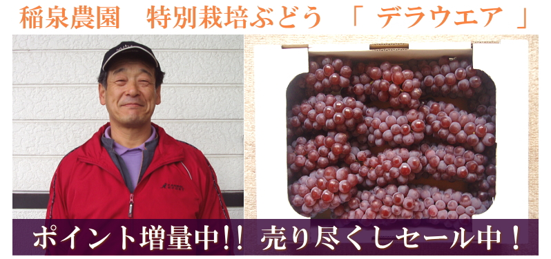ぶどう売り尽くしセールのお知らせ