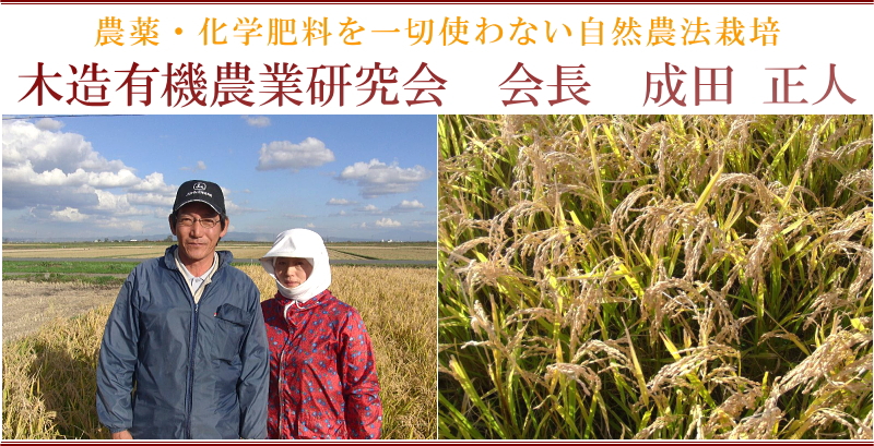 無農薬　自然農法お米　成田 正人