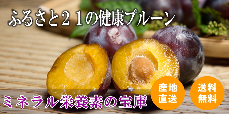 カテゴリトップ画像