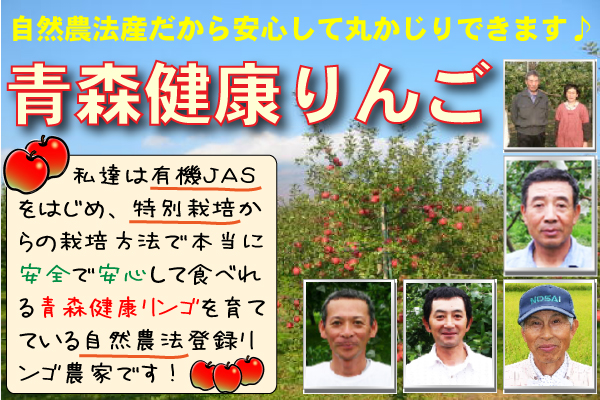 果物 青森健康りんご