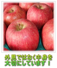 青森健康りんごは外見よりも中身を大切にしています