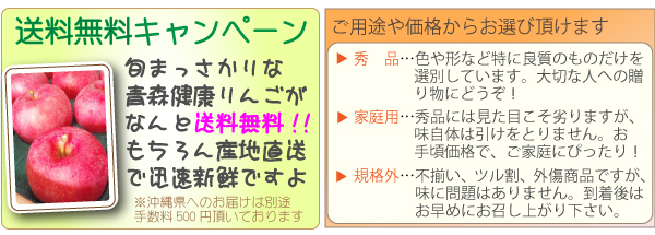送料無料キャンペーン&規格と値段の説明