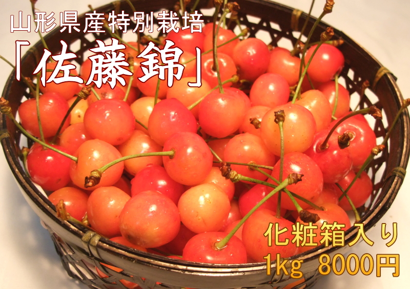 さくらんぼ『佐藤錦』