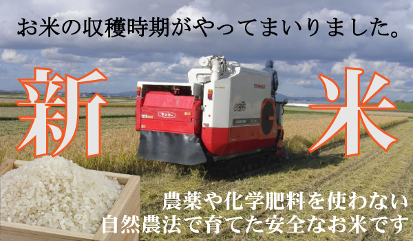 無農薬の新米