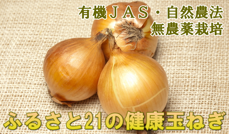 カテゴリトップ画像