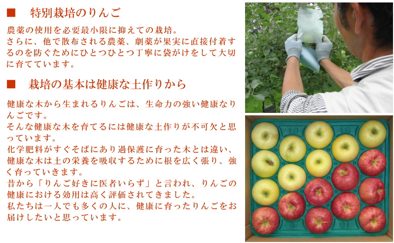 健康りんご