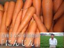 【香川県産人参】有機JAS認定◆無農薬にんじん 10kgA・B混合品(松浦農園)◆《送料無料》