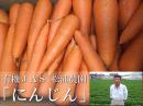【香川県産人参】有機JAS認定◆無農薬にんじん　10kgA・B混合品(松浦農園)◆《送料無料》