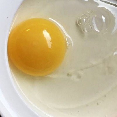 【ポイント2倍】平飼いたまご 75個 (北海道 Farm Agricola) 産地直送 アグリコラ 卵