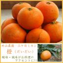 三ヶ日ミカン・シトラス◆橙(だいだい)(外山農園)◆3.5kg(約23玉)≪送料無料≫