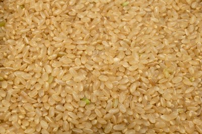 【令和5年度産米】 つがるロマン 玄米 10kg 自然農法 (青森県 小田農園) 産地直送