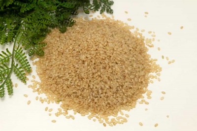 【令和5年度産米】 つがるロマン 玄米 10kg 自然農法 (青森県 小田農園) 産地直送