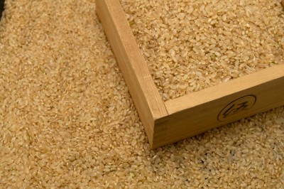 【令和5年度産米】 つがるロマン 玄米 20kg 自然農法 (青森県 小田農園) 産地直送