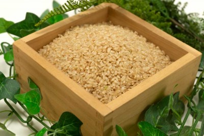 【令和5年度産米】 つがるロマン 玄米 30kg 自然農法 (青森県 小田農園) 産地直送
