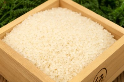 【令和5年度産】田口さんちのはさがけ天日干し米(あきた) 精米 10kg 自然農法 (青森県 だんごっこファーム) 産地直送