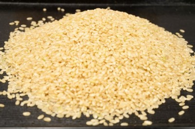 【令和5年度産】 田口さんちのはさがけ天日干し米(つがる) 玄米 5kg 自然農法 (青森県 だんごっこファーム) 産地直送