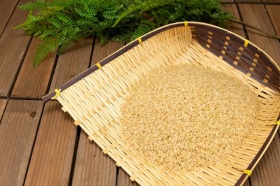 【令和5年度産】田口さんちのはさがけ天日干し米(あきた) 玄米 10kg 自然農法 (青森県 だんごっこファーム) 産地直送