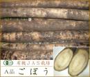 有機・自然農法栽培◆無農薬ごぼう　10kg[A品]◆《産地直送・送料無料》掘りたて新鮮ゴボウ