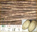 【訳あり品】有機・自然農法栽培◆無農薬ごぼう　10kg[B品]◆《産地直送・送料無料》お得な掘りたて新鮮ゴボウ