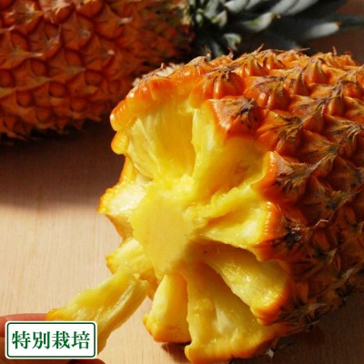 スナックパイン 4玉(3kg以上) 特別栽培 (沖縄県 平安名農園) パイナップル