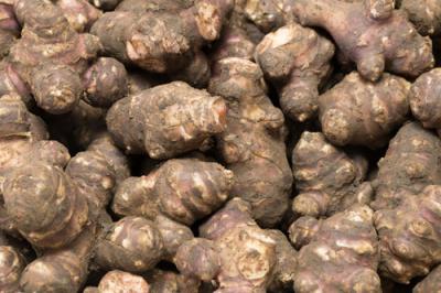 紫菊芋(土付き) 4kg 自然農法 (北海道 HJYさくら農場 食彩北海道) 産地直送