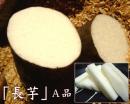 有機・自然農法栽培◆無農薬長芋　5kg[A品]◆≪産地直送・送料無料≫ご贈答に使える選別品