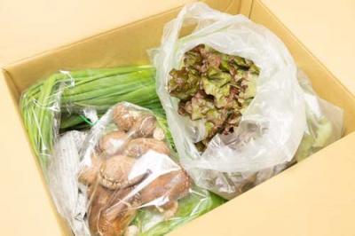 江見さん家の野菜BOX 自然農法 有機JAS (岡山県 江見農園) 産地直送