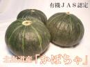 【北海道産】有機JAS認定◆無農薬かぼちゃ　10kg(一心生産組合)◆《産地直送・送料無料》
