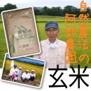 【23年度産】自然農法無農薬米◆あきたこまち　玄米(阿部農園)◆10kg≪送料無料≫