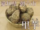 【愛知県産】自然農法無農薬栽培◆里芋(小玉)3kg(朝六市)◆《送料無料》