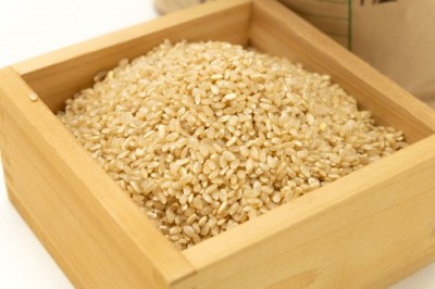 【令和5年度産】はるみ 玄米 5kg 自然農法 (徳島県 久米実) 産地直送