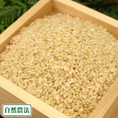 【令和5年度産】 河原さんのお米 玄米5kg 自然農法(岡山県 河原農園) 産地直送