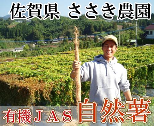 【家庭用】自然薯 約5kg(5〜12本) 有機JAS (佐賀県 ささき農園) 産地直送