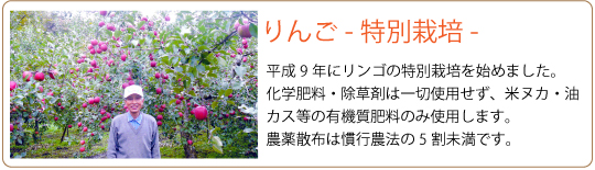 阿部農園リンゴ紹介