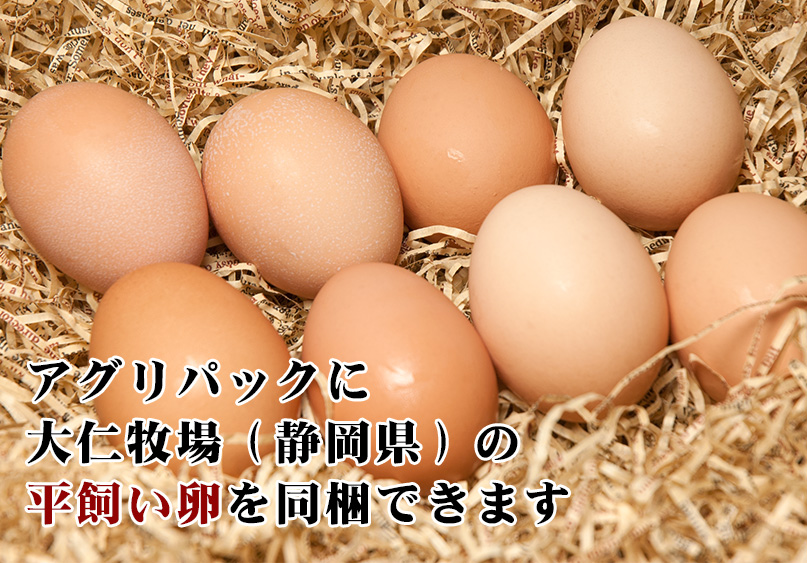 卵の同梱可能です