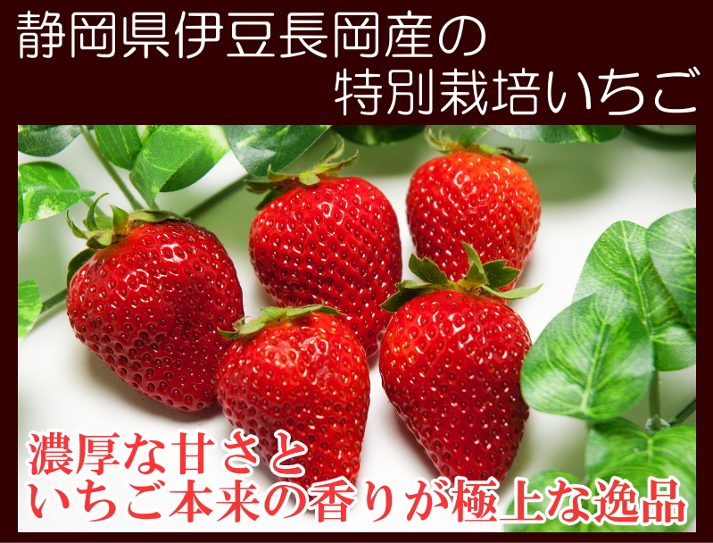 土橋いちご園