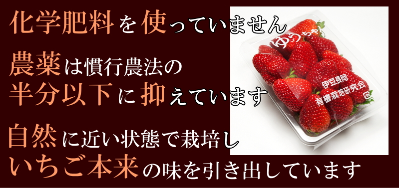 土橋いちご園