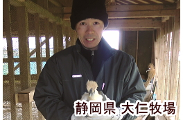 大仁牧場卵