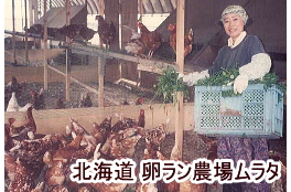 卵ラン農園ムラタ