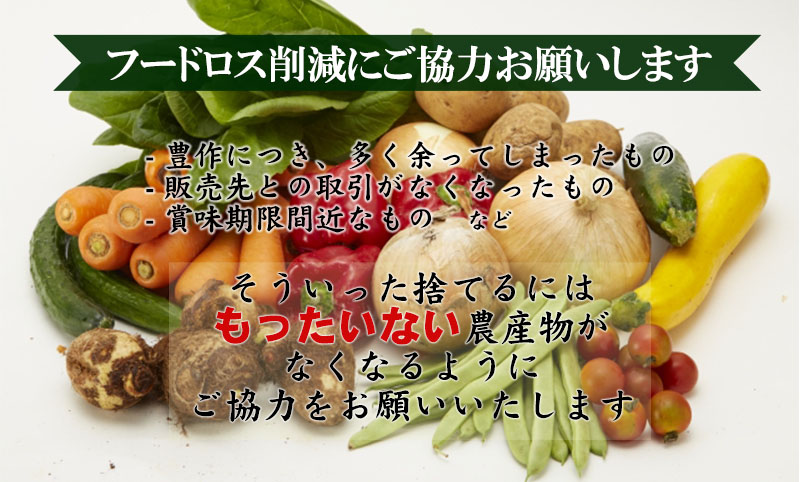 カテゴリトップ画像