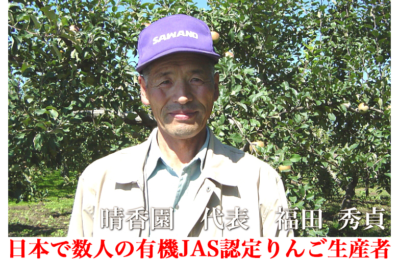 有機JAS　化学合成された農薬不使用のりんご　晴香園　福田 秀貞